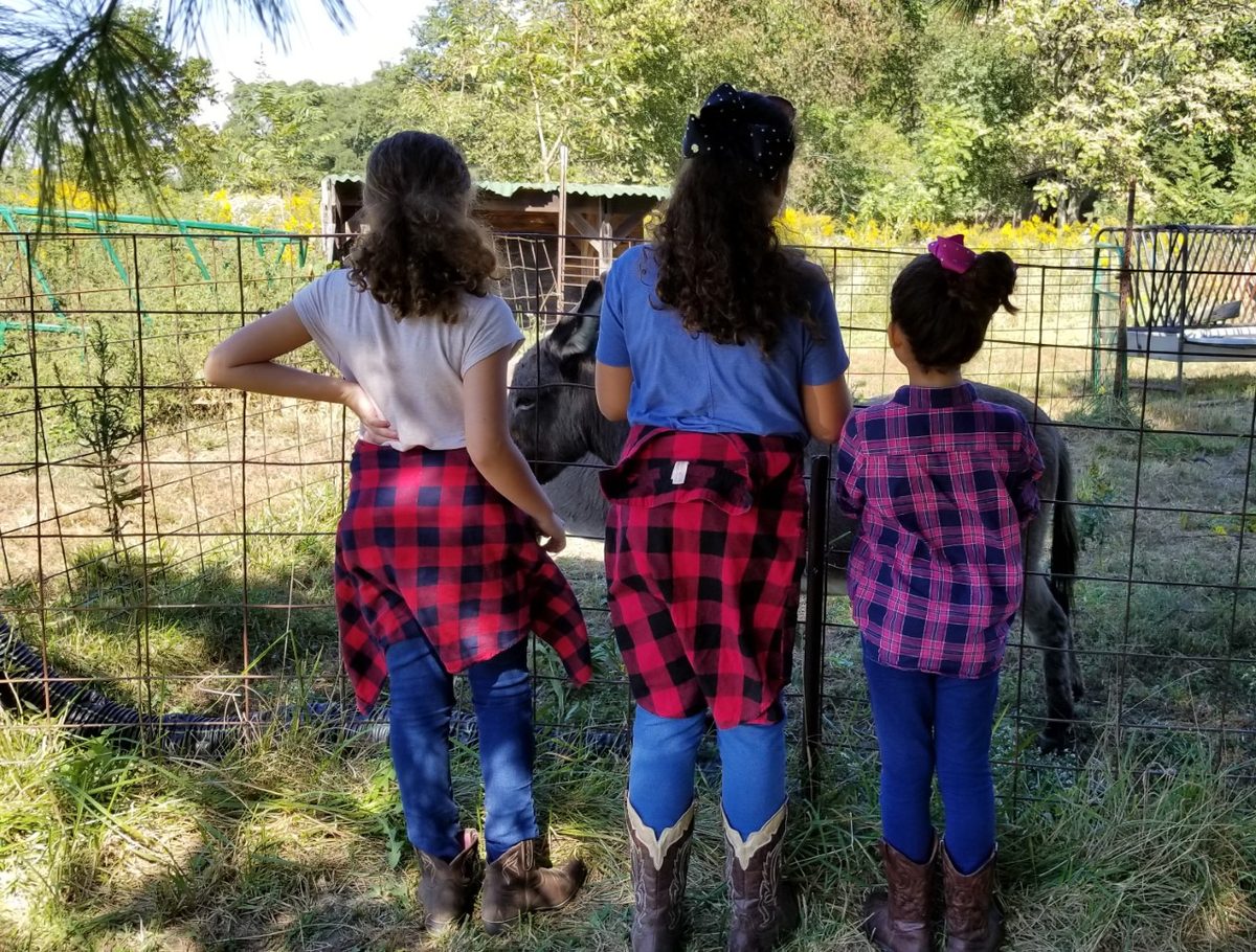 Fall recital at Mills Farm, 2018